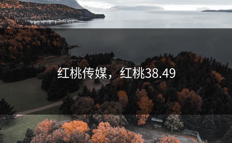 红桃传媒，红桃38.49